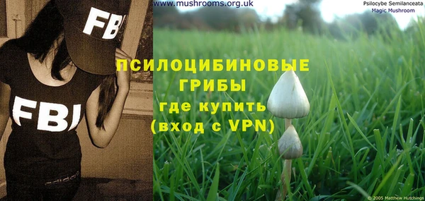 COCAINE Богородицк