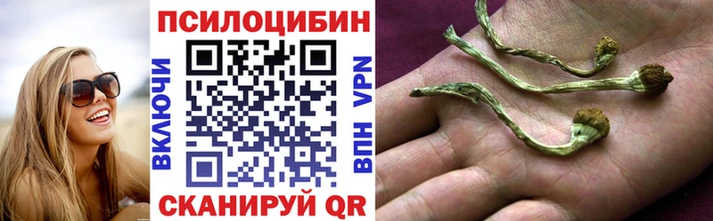 Галлюциногенные грибы Psilocybine cubensis  где продают наркотики  Троицк 